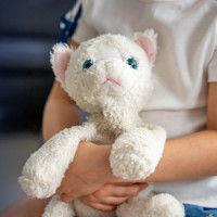  Efektivnější ochrana dětí a rovnoměrná podpora v regionech. Ministerstvo práce a sociálních věcí představilo koncept ÚRODu